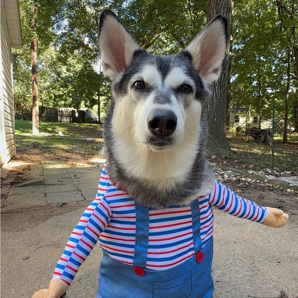 Extra Shipping Label